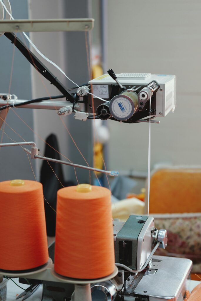 Pexels little forest 2150377525